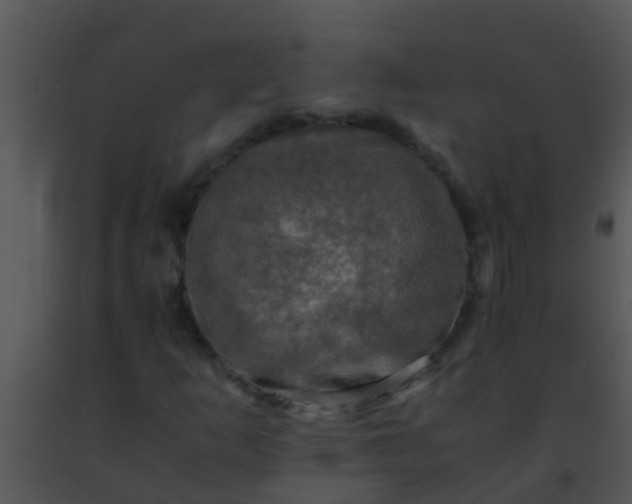 X0000091501253200708301950