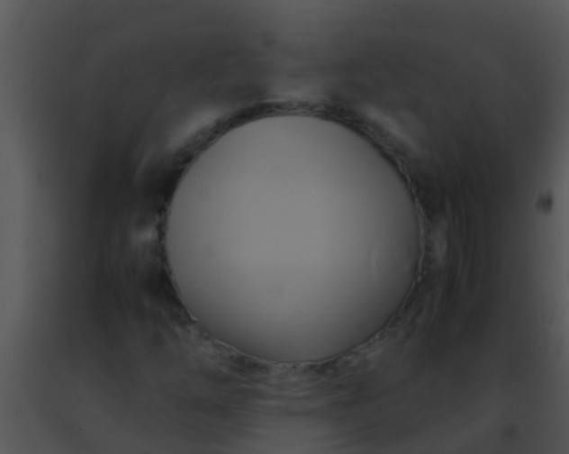 X0000091501254200708301950