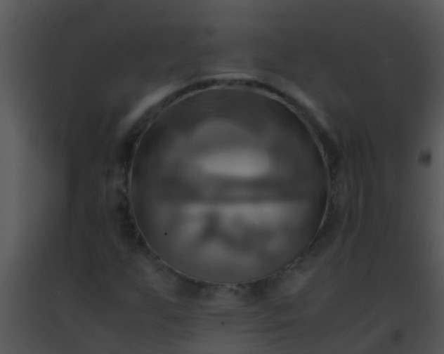 X0000091501255200708301950