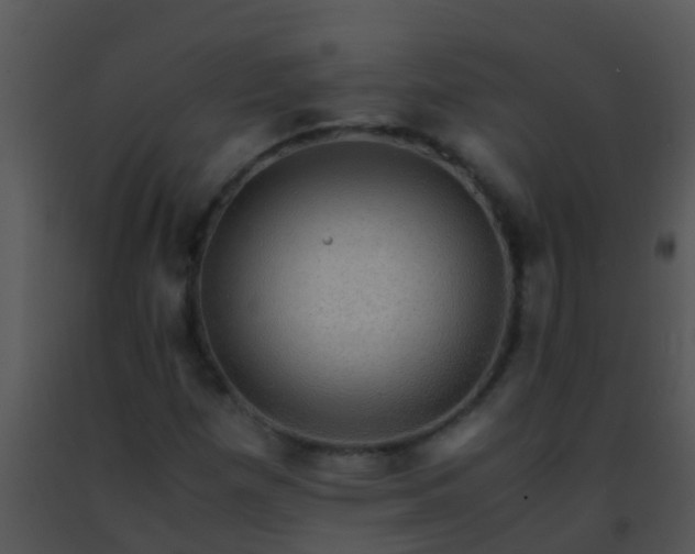 X0000091501257200708301950