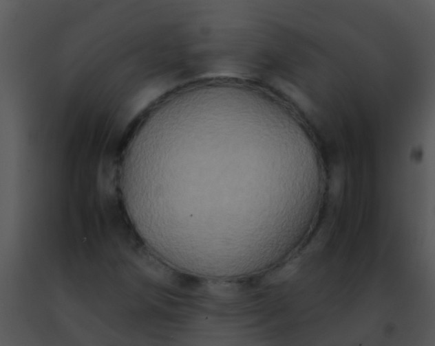 X0000091501258200708301950