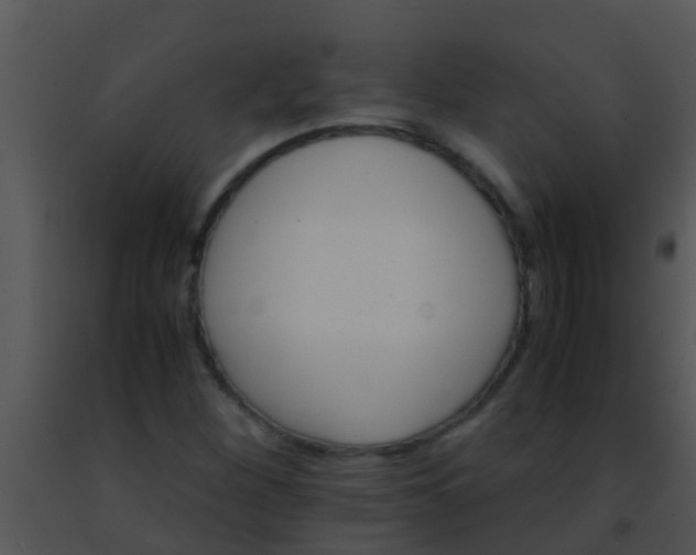 X0000091501260200708301950