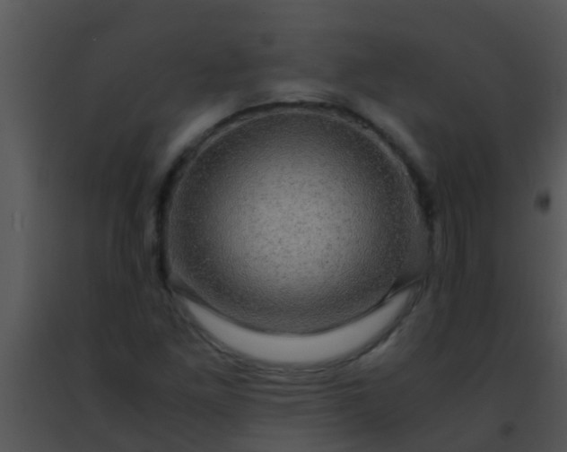 X0000091501261200708301950