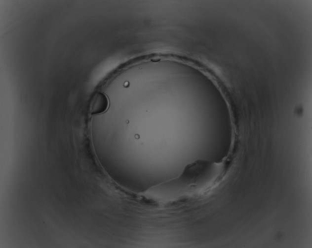 X0000091501263200708301950