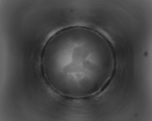 X0000091501264200708301950