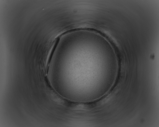 X0000091501265200708301950