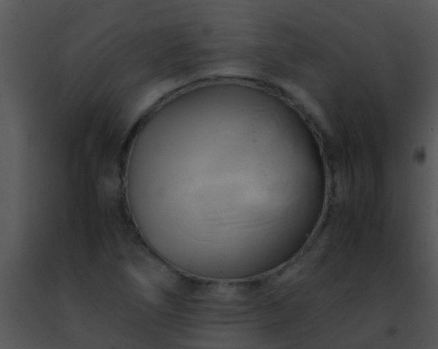 X0000091501266200708301950