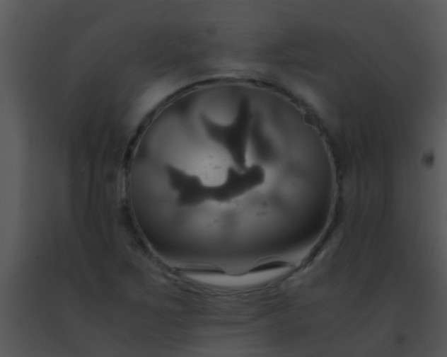 X0000091501267200708301950