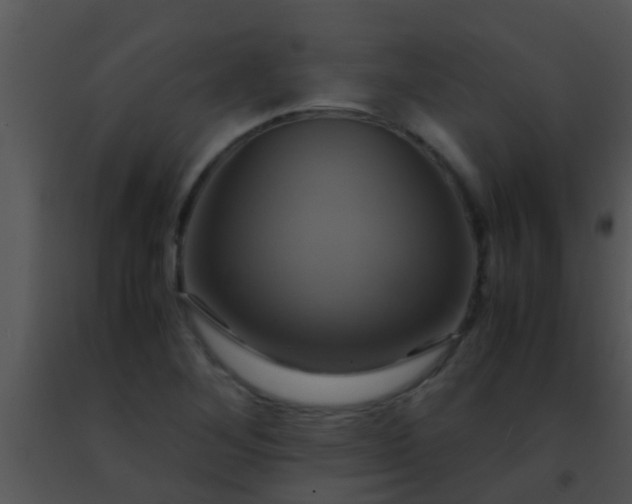 X0000091501268200708301950