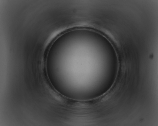 X0000091501270200708301950