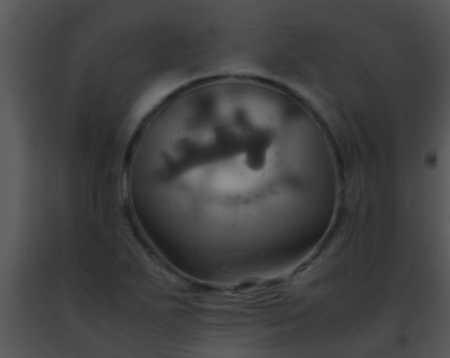 X0000091501271200708301950