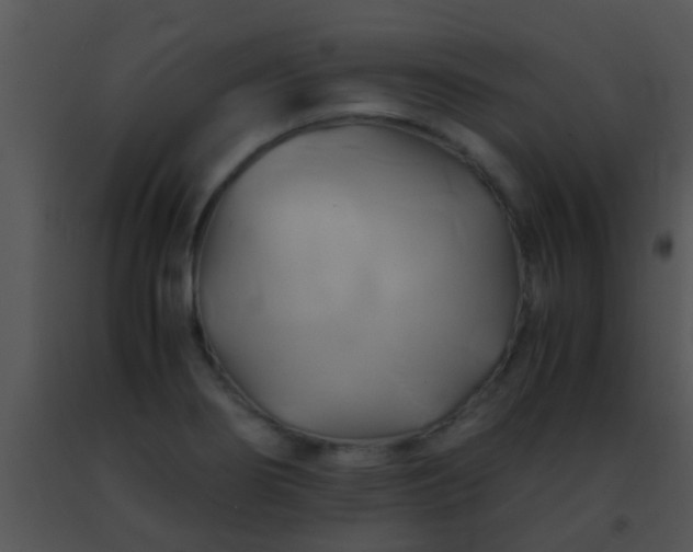 X0000091501274200708301950