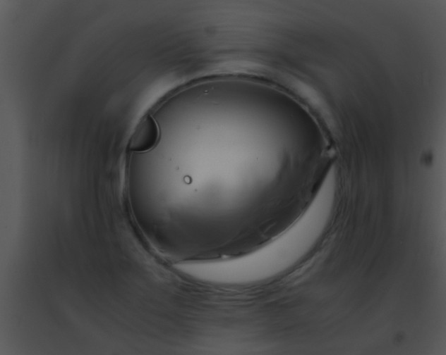 X0000091501275200708301950