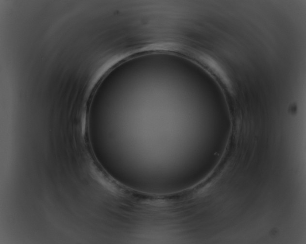 X0000091501276200708301950