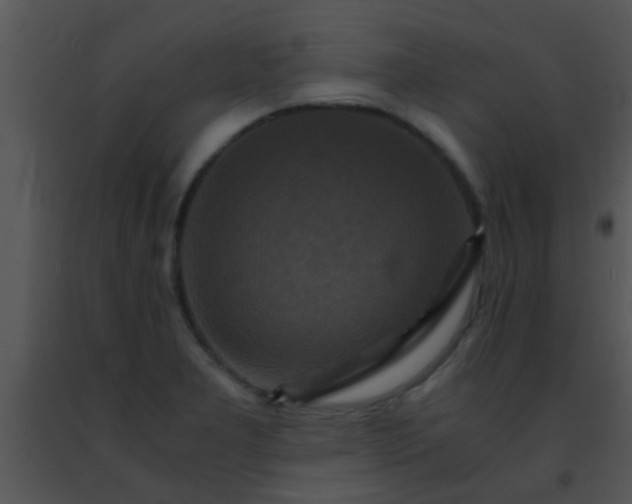 X0000091501277200708301950