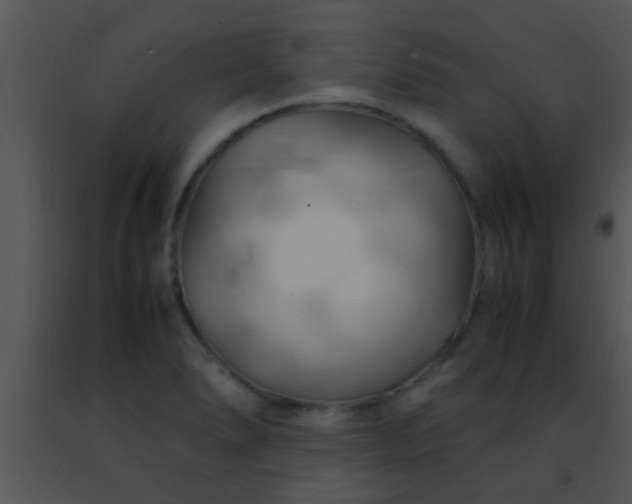 X0000091501278200708301950