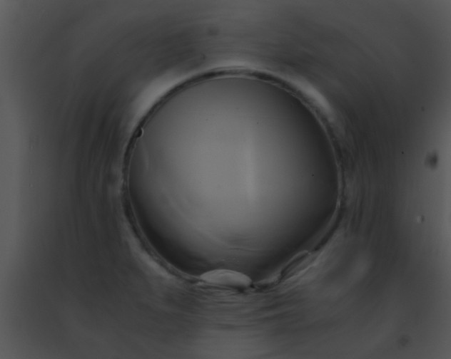 X0000091501279200708301950