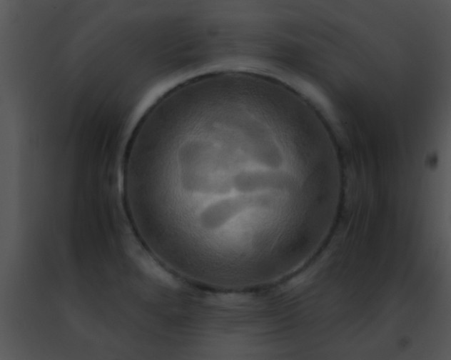 X0000091501280200708301950