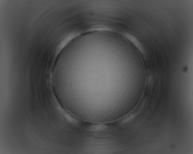 X0000091501282200708301950