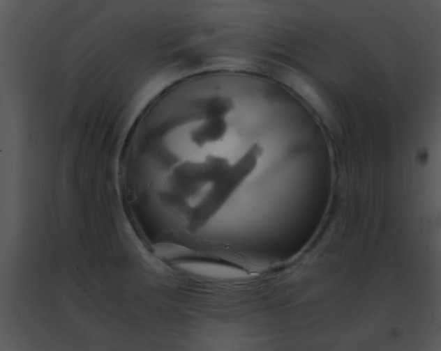 X0000091501283200708301950