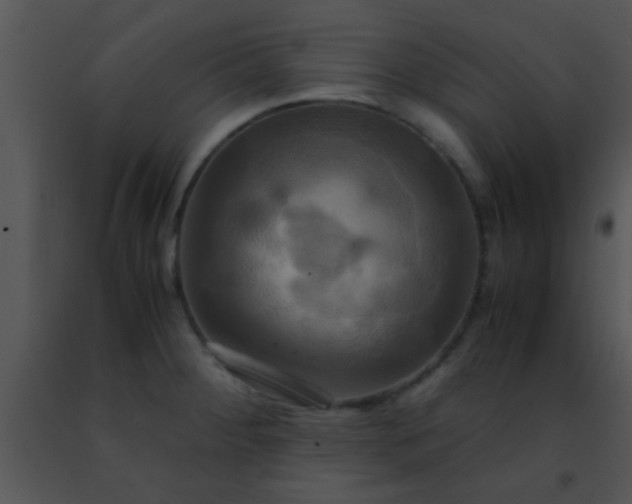 X0000091501284200708301950