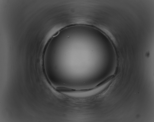 X0000091501285200708301950