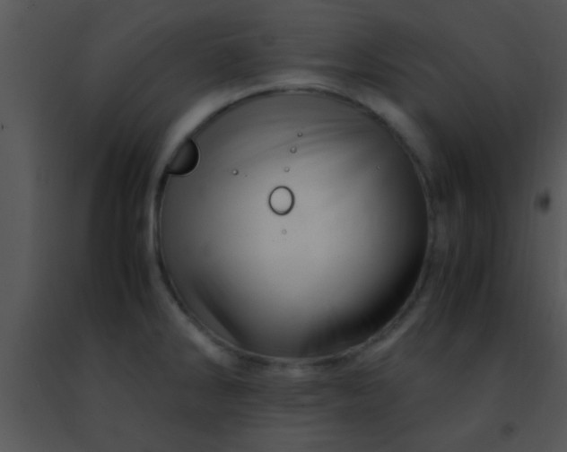 X0000091501286200708301950