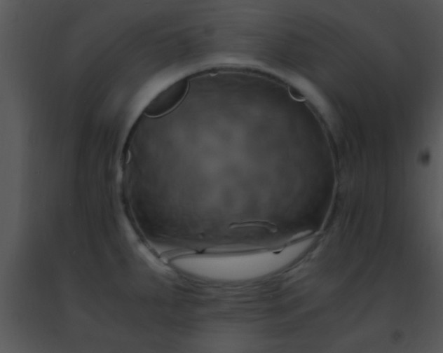 X0000091501287200708301950