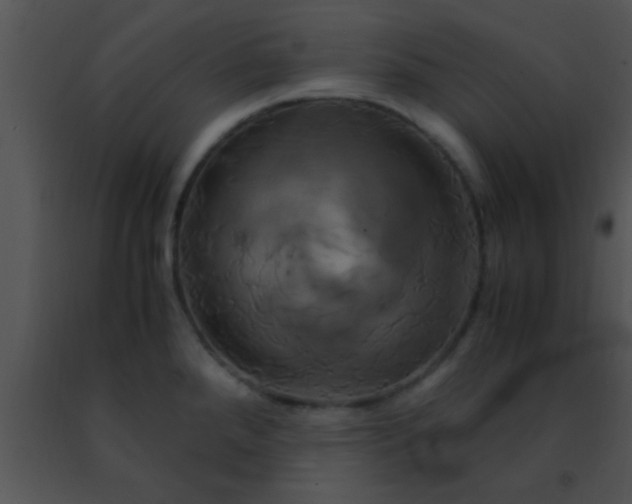 X0000091501288200708301950