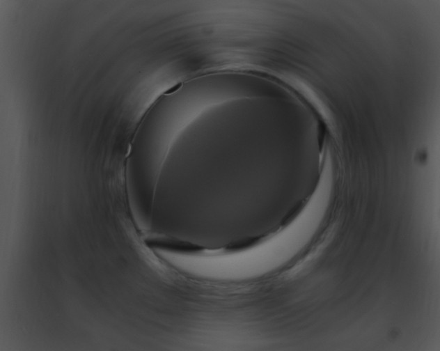 X0000091501289200708301950