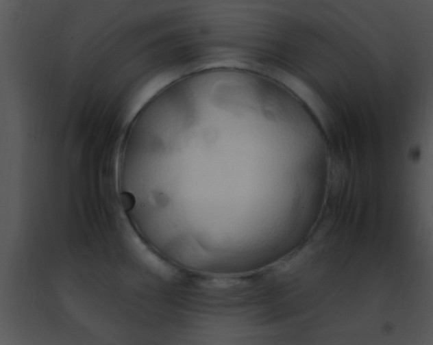 X0000091501290200708301950