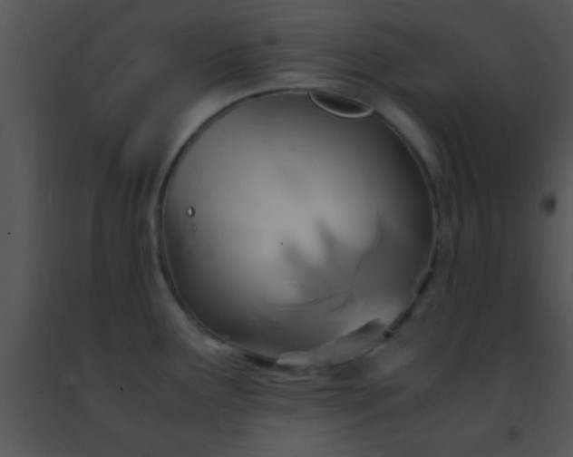 X0000091501291200708301950