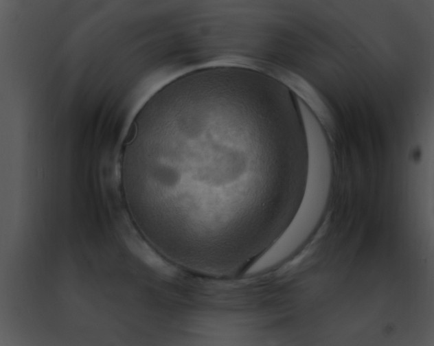 X0000091501292200708301950