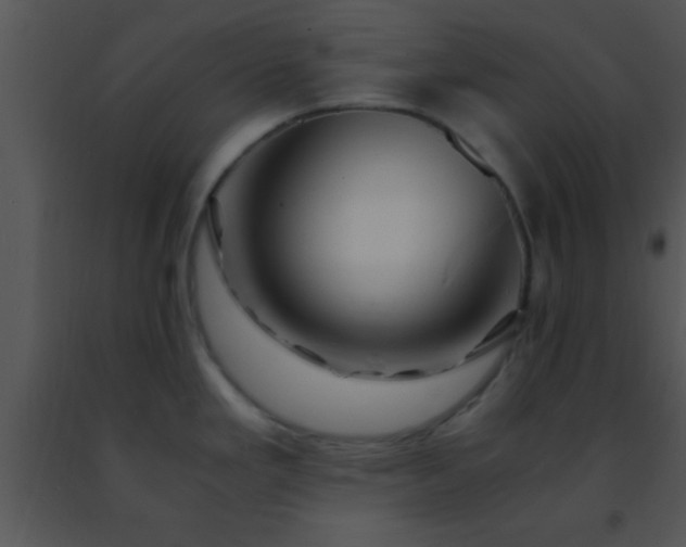 X0000091501293200708301950