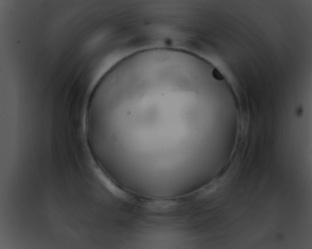 X0000091501294200708301950