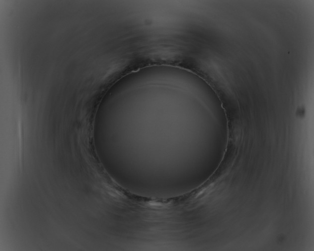 X0000091501297200708301949