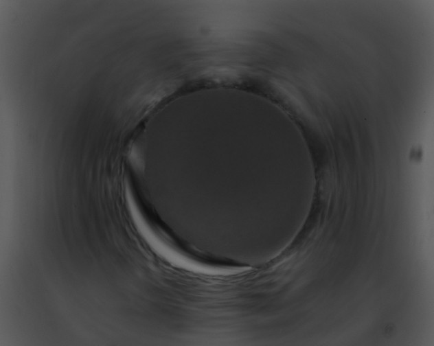 X0000091501298200708301949