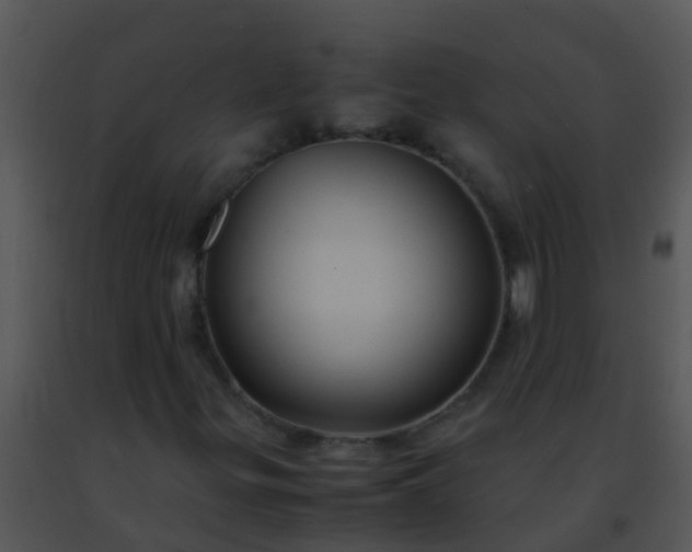 X0000091501299200708301949