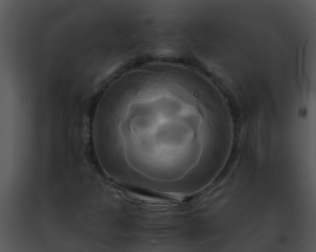 X0000091501301200708301949