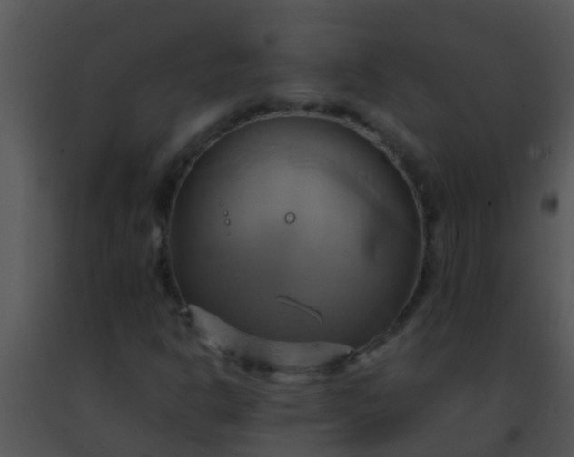 X0000091501302200708301949