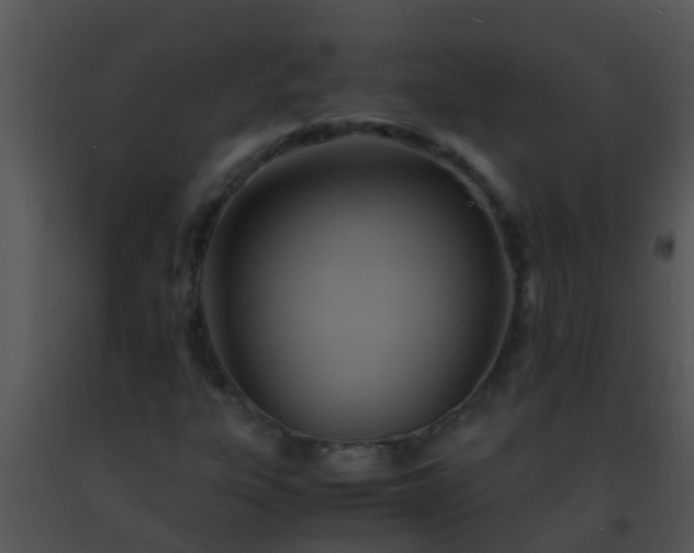 X0000091501303200708301949