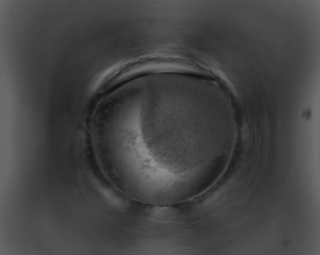 X0000091501304200708301949