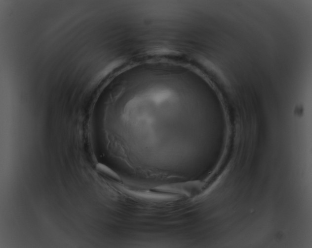 X0000091501305200708301949