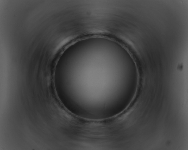 X0000091501306200708301949