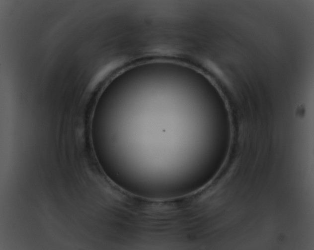 X0000091501307200708301949