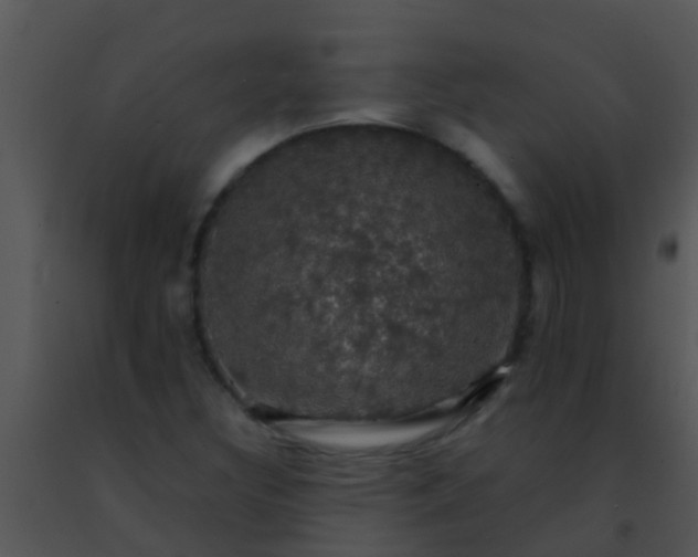 X0000091501308200708301949