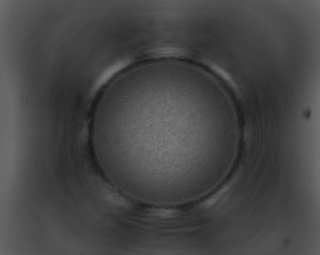 X0000091501309200708301949