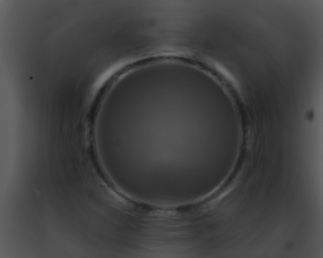 X0000091501310200708301949