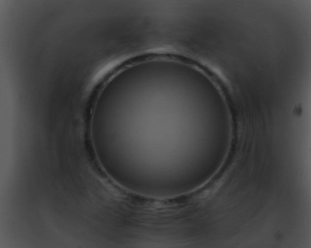 X0000091501311200708301949