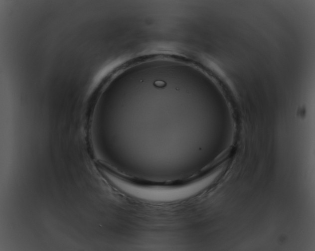 X0000091501312200708301949